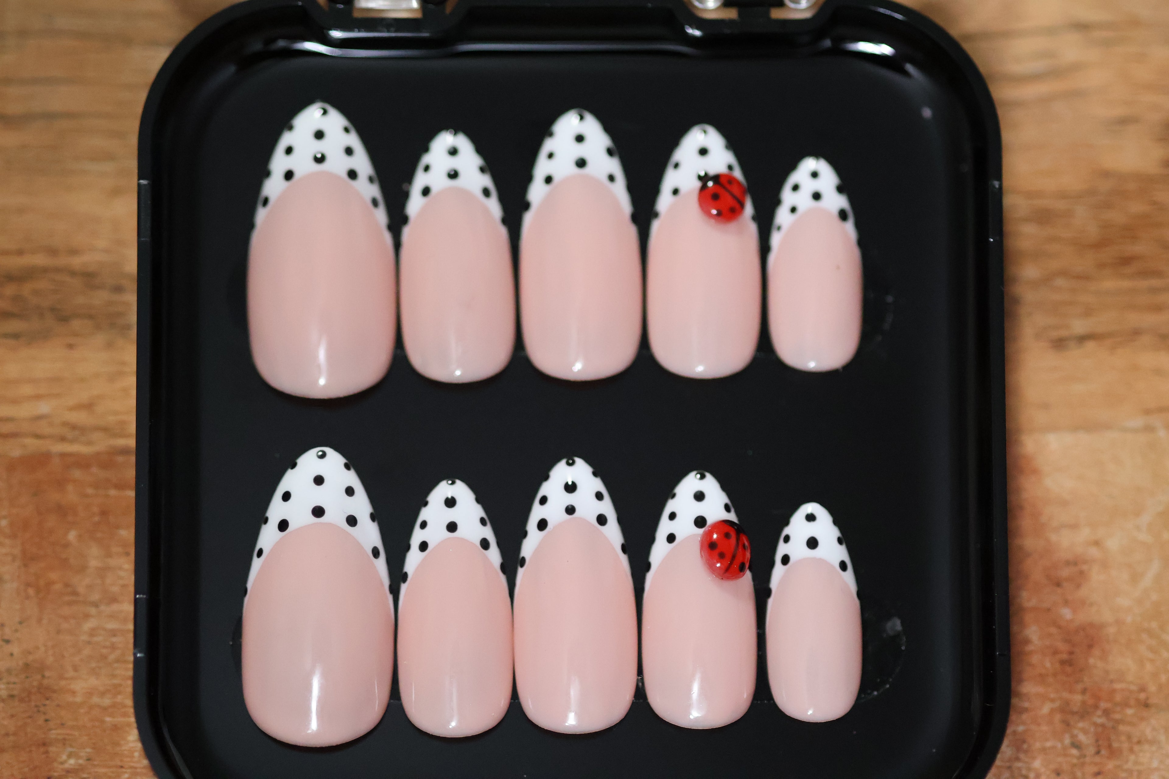 Ladybug Lane