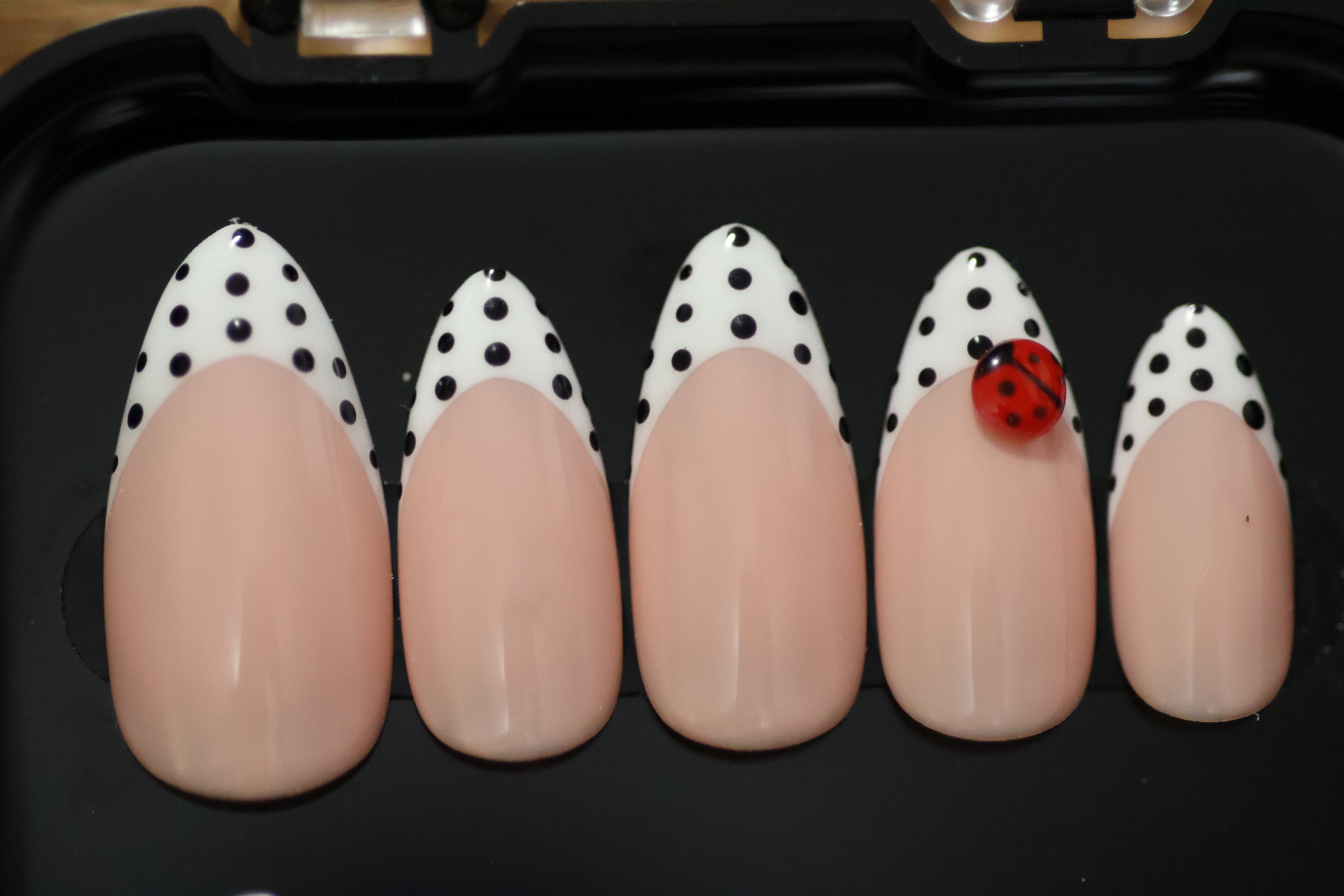 Ladybug Lane