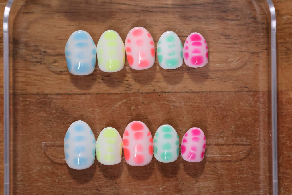Colorful Croc